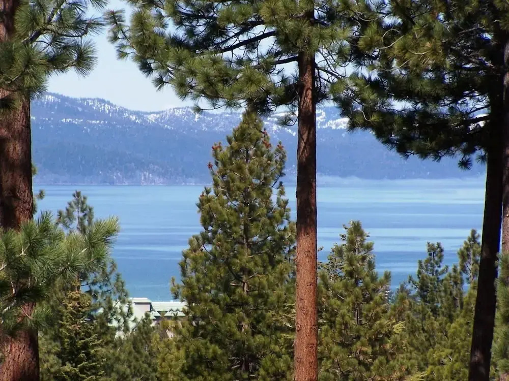 Pinehill Ponderosa by Lake Tahoe Accommodations