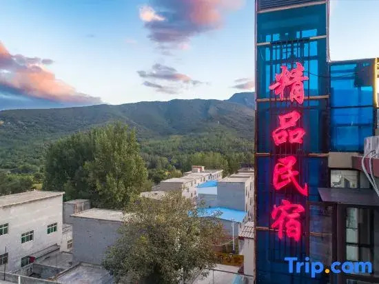 Dengfeng Shaolin Holiday Boutique Homestay