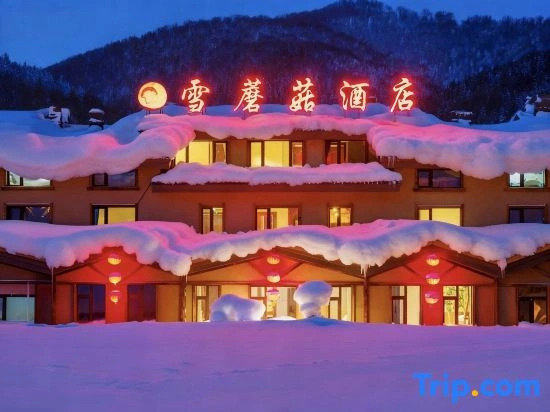 Snow Mushroom Hotel