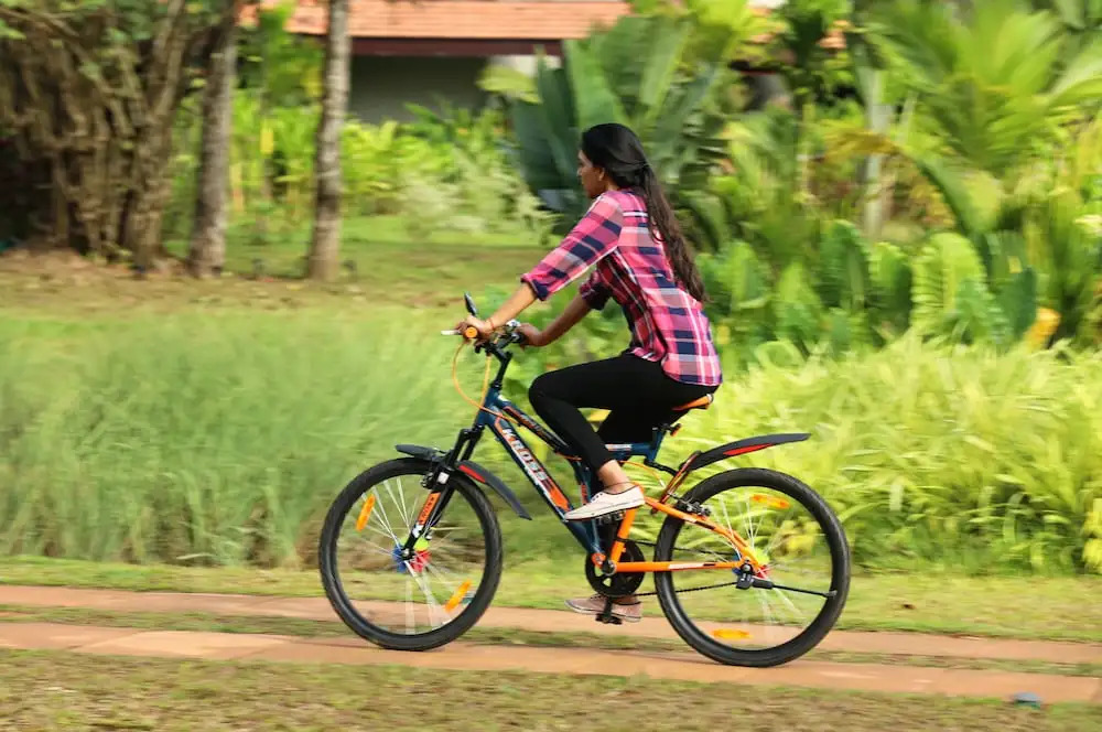Niraamaya Wellness Retreats Backwaters And Beyond Kumarakom