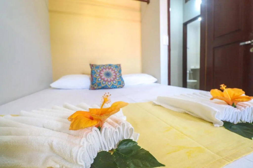 Apartamentos Pipa Centro