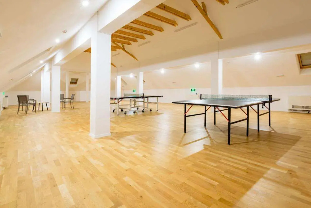 Pensiunea Salina Gymnasium