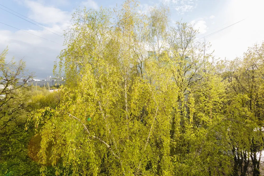 Brusnika Apartment Generala Antonova