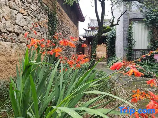 Ziyou Suiyue Design Hostel