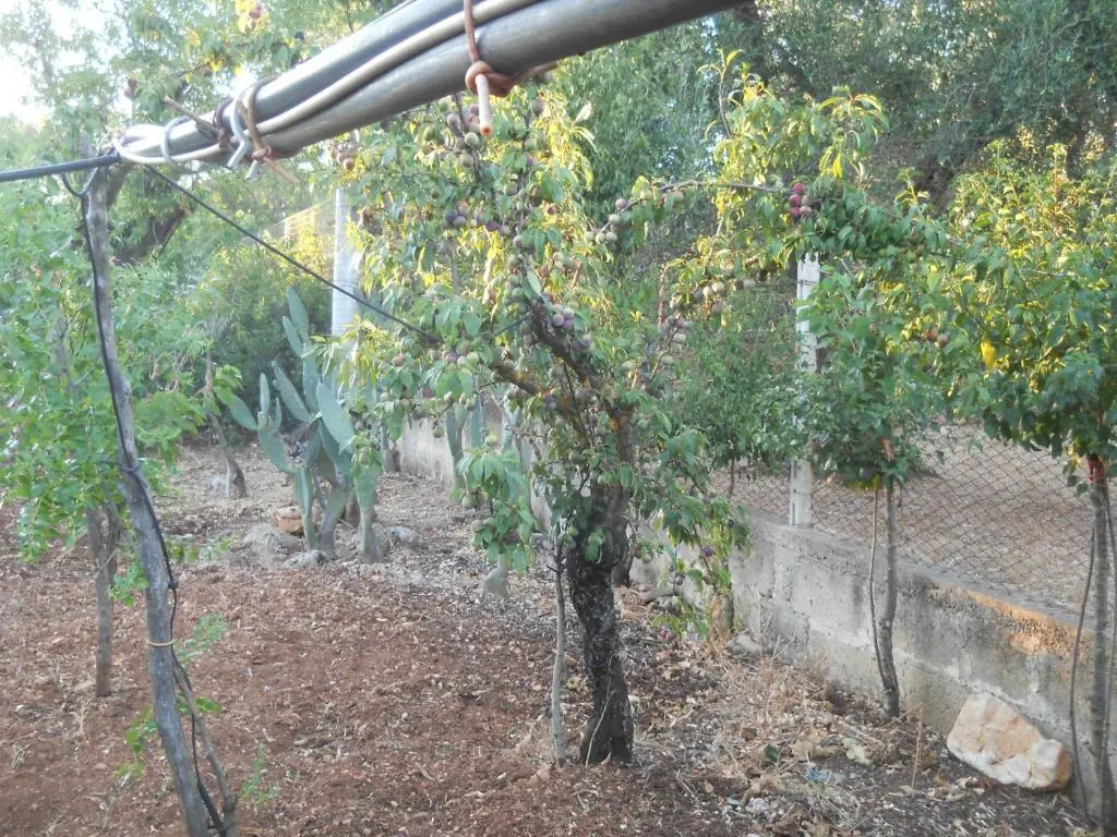Villa Conte in Salento