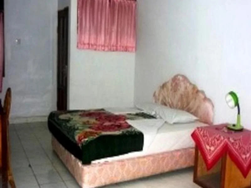 Hotel Pison