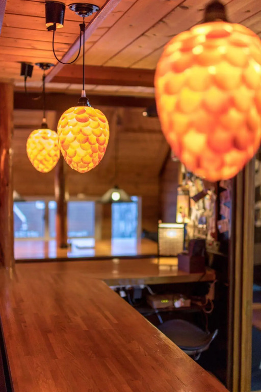 Hooting Owl private ski chalet