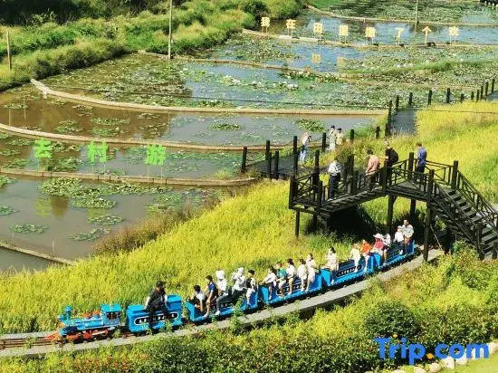Dayue Bay Leisure Vacation Homestay