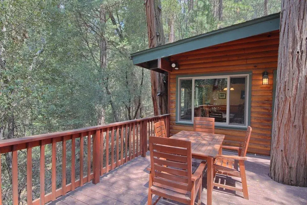 The Tree House