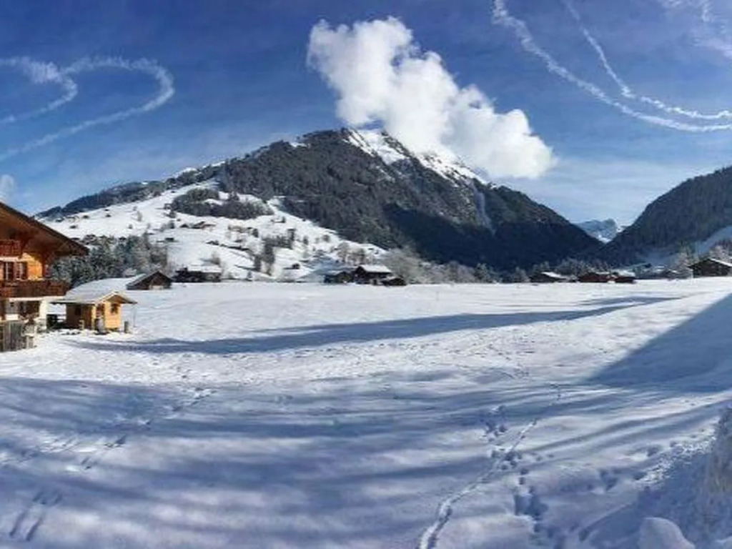 Chalet Lärchehus
