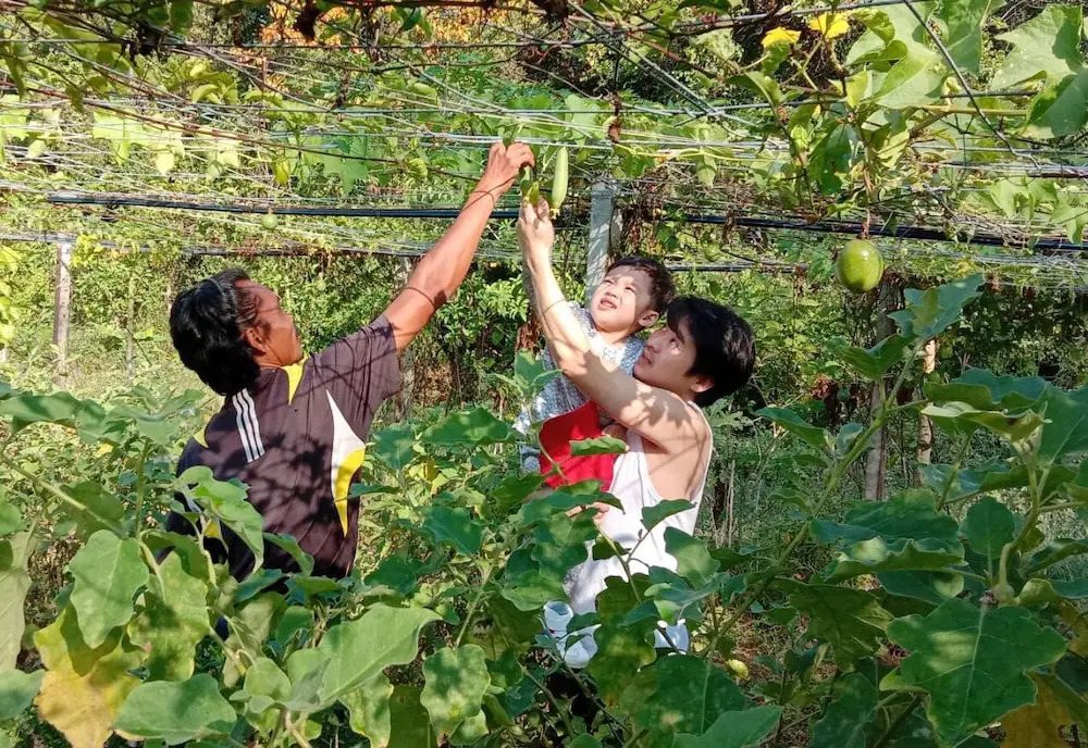 Kongkarn Bed & Farm Stay