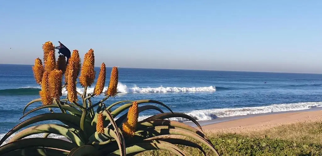 6 Umdloti Cabanas Umdloti Beach