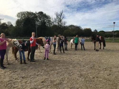 Brookover Farm