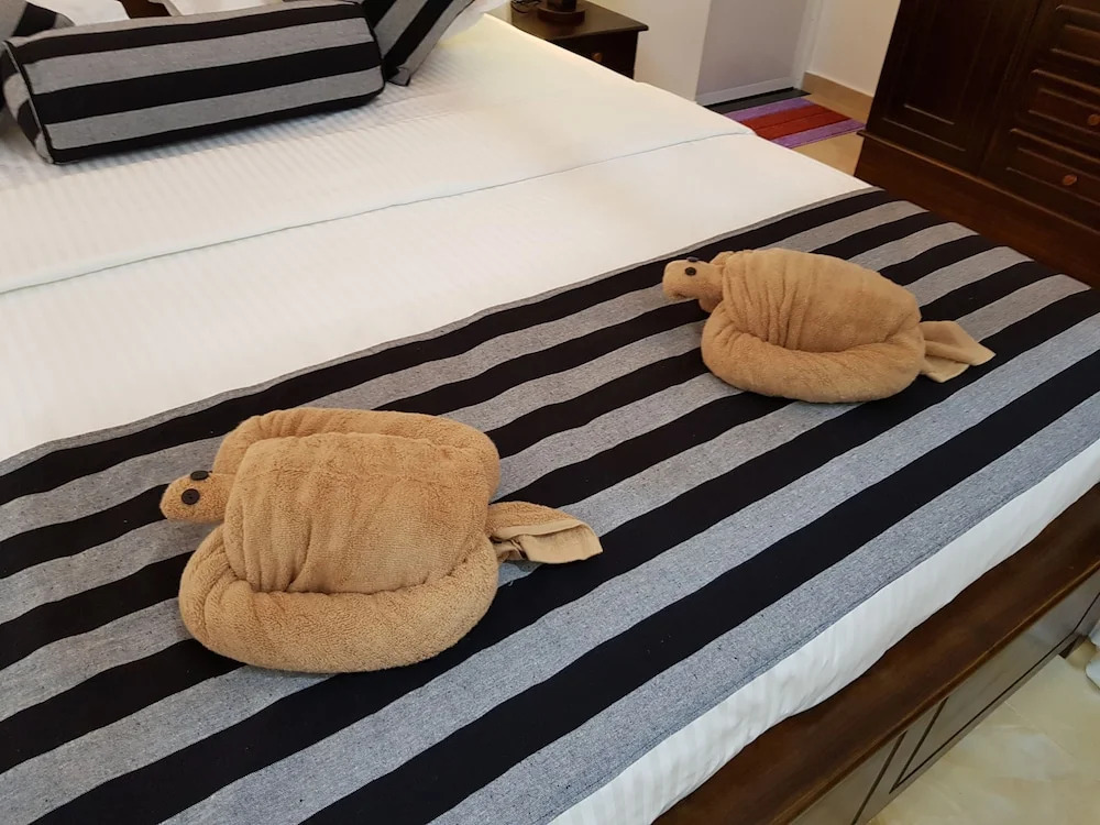 My Whales Guest House