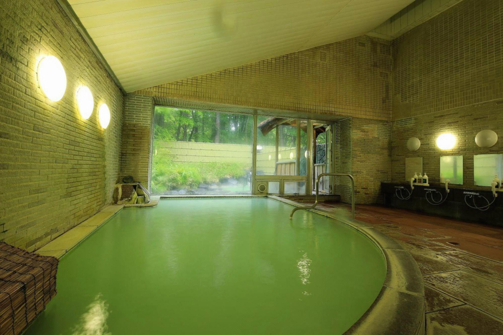 Nikko Astraea Hotel