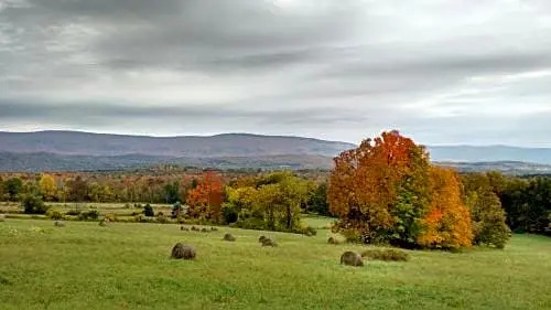 Meadowood Farm