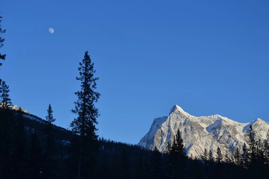 Yoho Chalets
