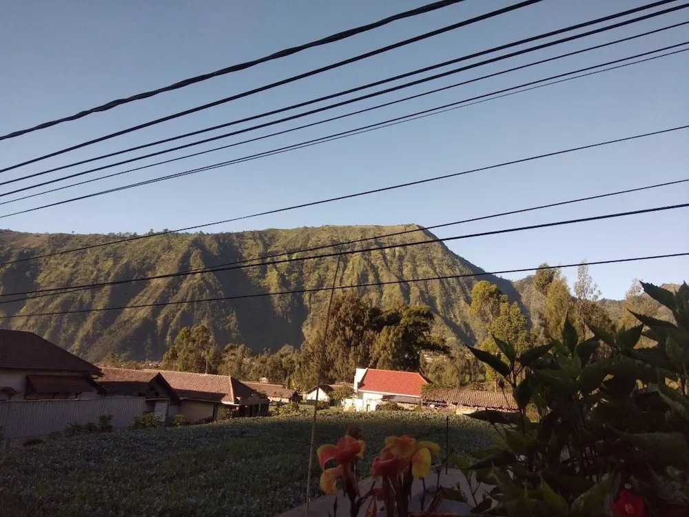 Balqis Home Stay