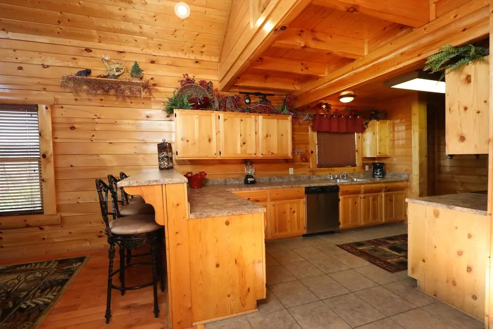 Bear-A-Dise in the Smokies