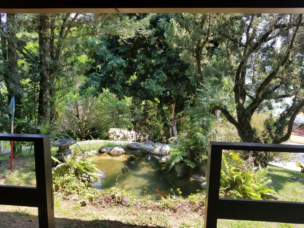 Vista paradisiaca