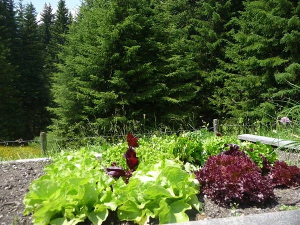 Pension Panorama Warth