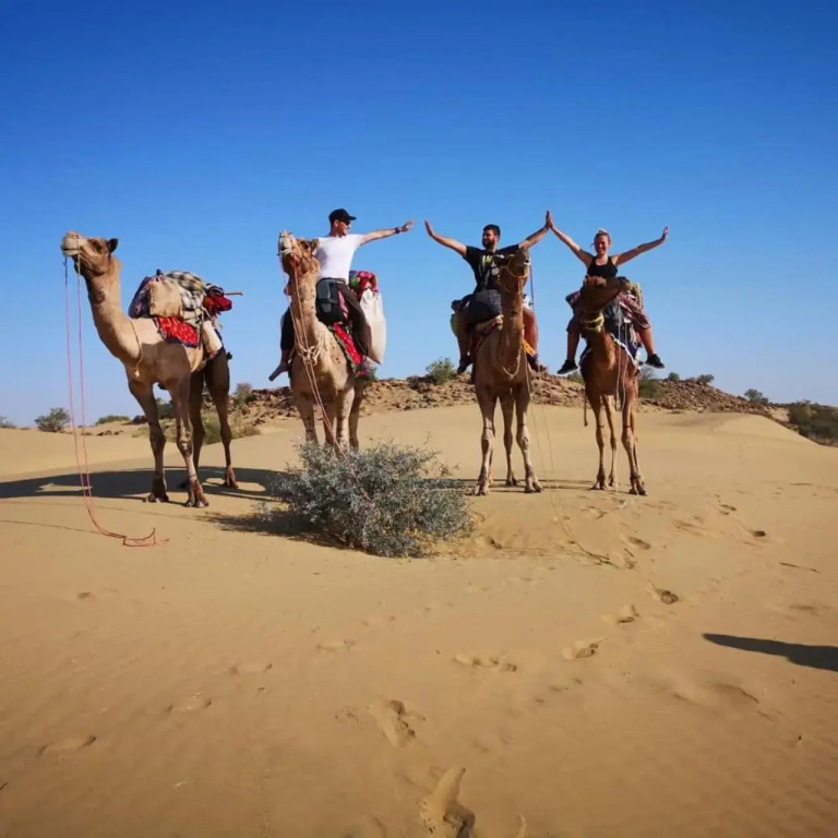 Crazy Camel Hotel & Safari