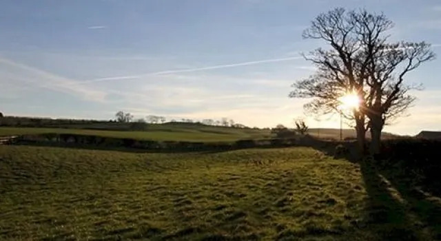 Golden Fleece B&B