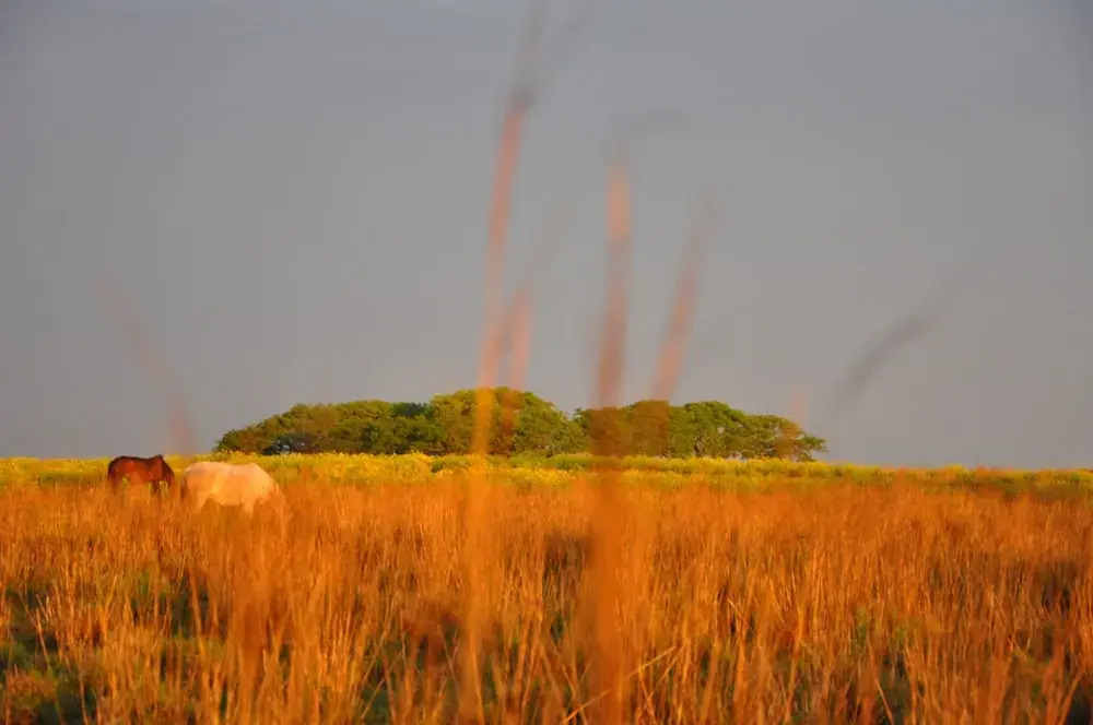 Estancia Don Joaquín