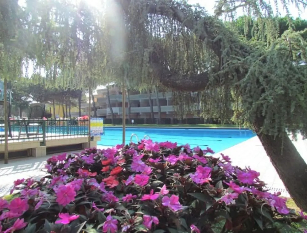 Flat With Terrace Overlooking the Pool