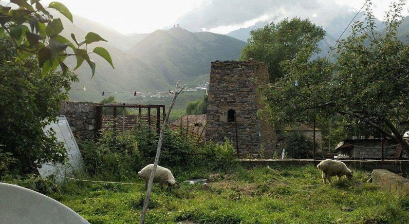 Archil and Nino Gigauri Guest House
