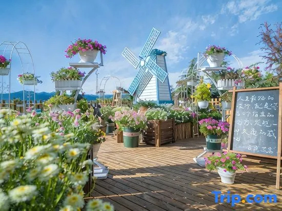 Feifan Little Inn · 360° Rooftop Garden View Courtyard