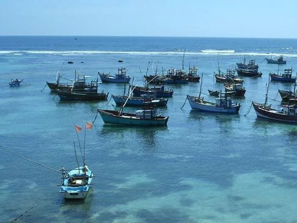 Hotel Tangoreef