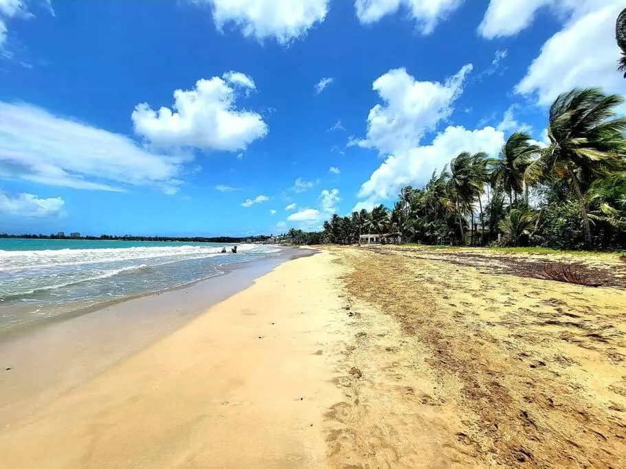 Peaceful ocean front home near Rainforest & rivers 102