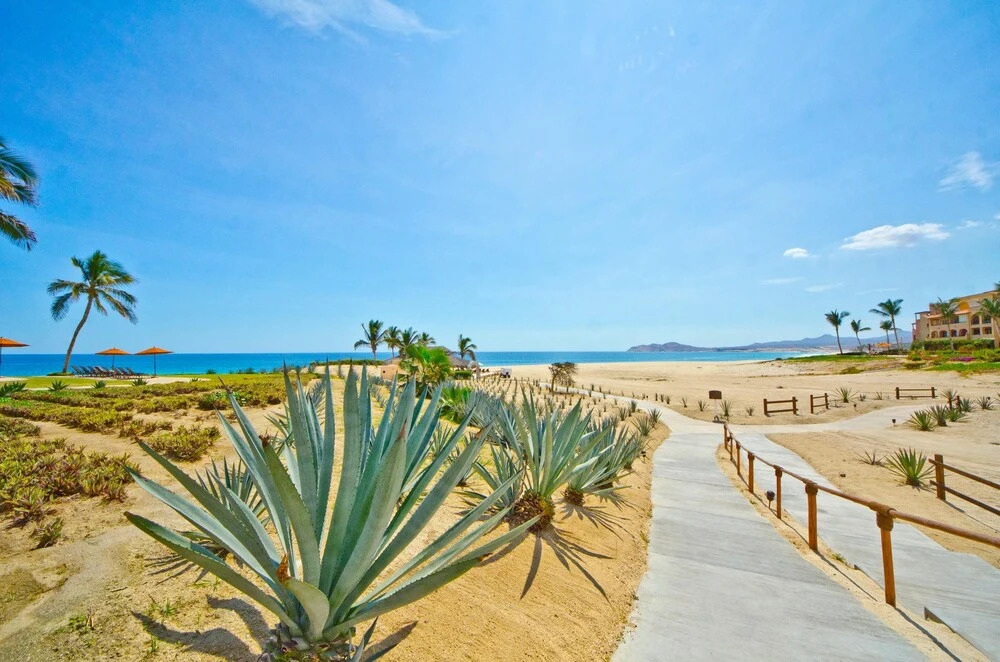 Beachfront Oasis With Activities Nearby at Casa del Mar Pelicano 301 - 1BR Option