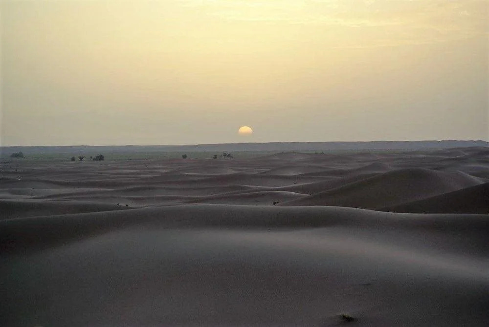 Ghazala Luxury Camp