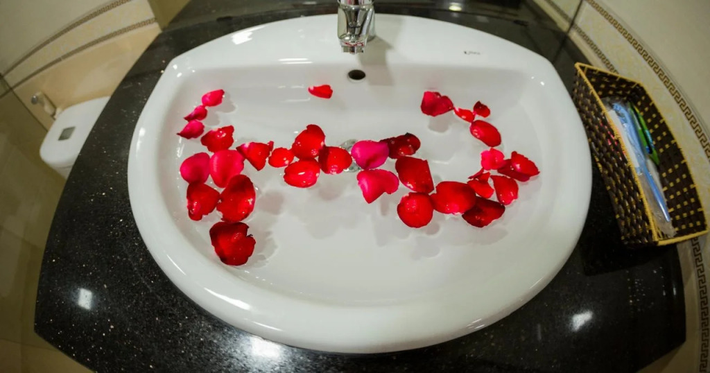 Camellia Sapa Hotel