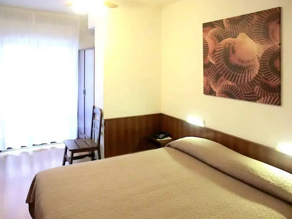 Hotel Carol