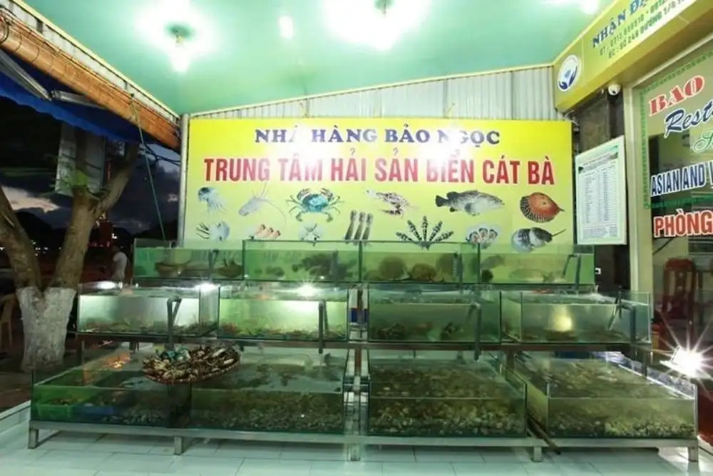 Bao Ngoc Hotel