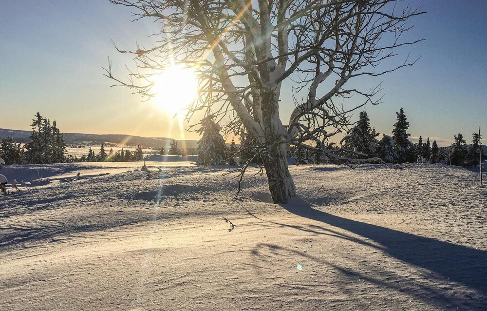 Gorgeous Home In Lillehammer With Wifi