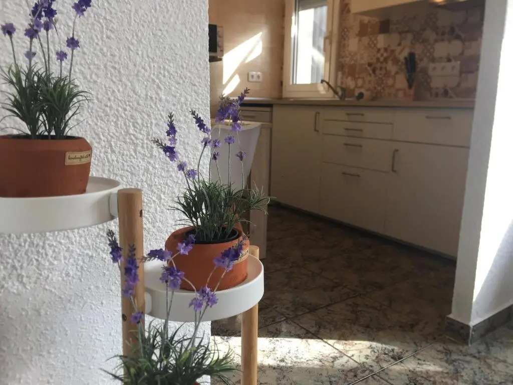 Casa Llurgo