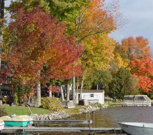 The Birches Resort