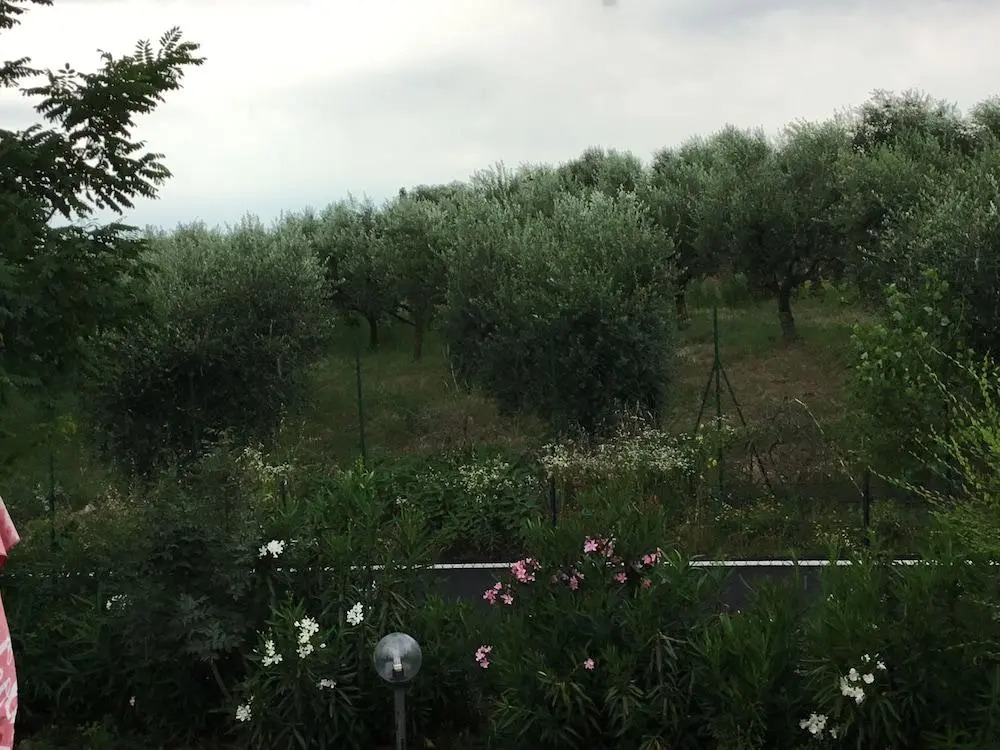 B&B Villa Roncatti