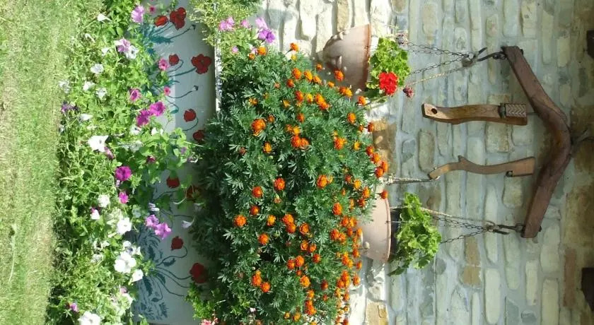 Agriturismo Piccolo Rustico