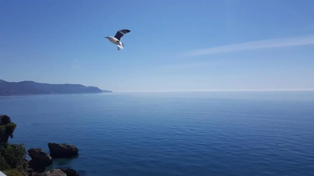 Carabeo Vista Mar