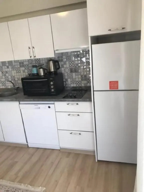 Fully Furnished Comfortable Flat in Izmir