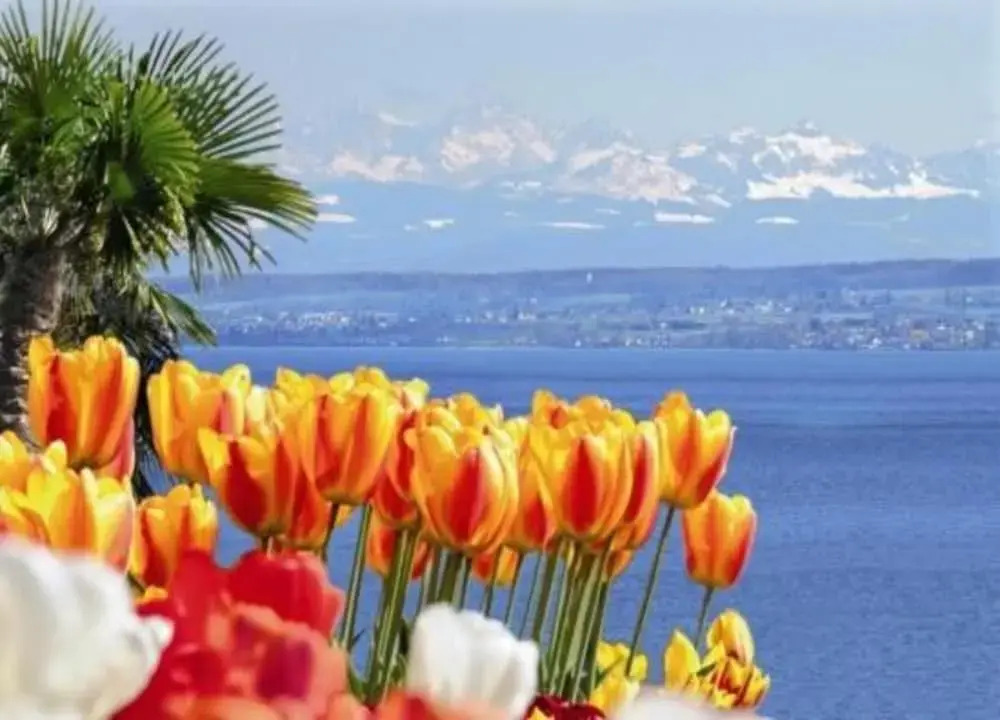 Sonniges Balkonapartment, Ahausen, Bodensee