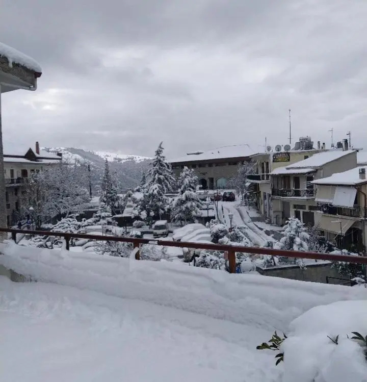 Apollon inn