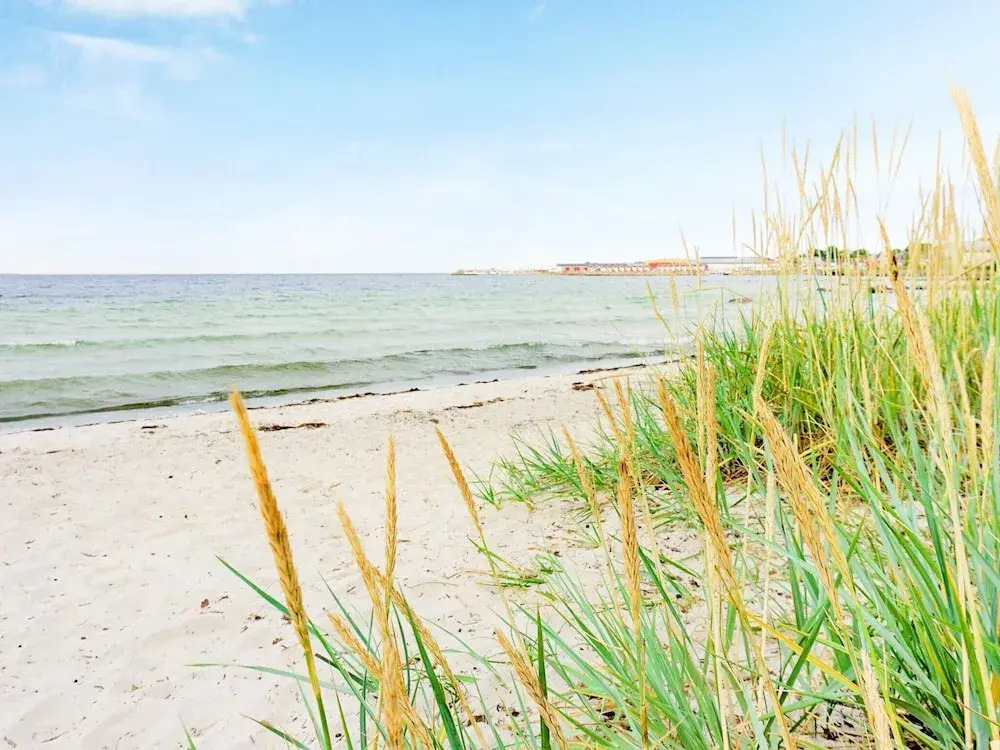 4 person holiday home in SÖLVESBORG-By Traum