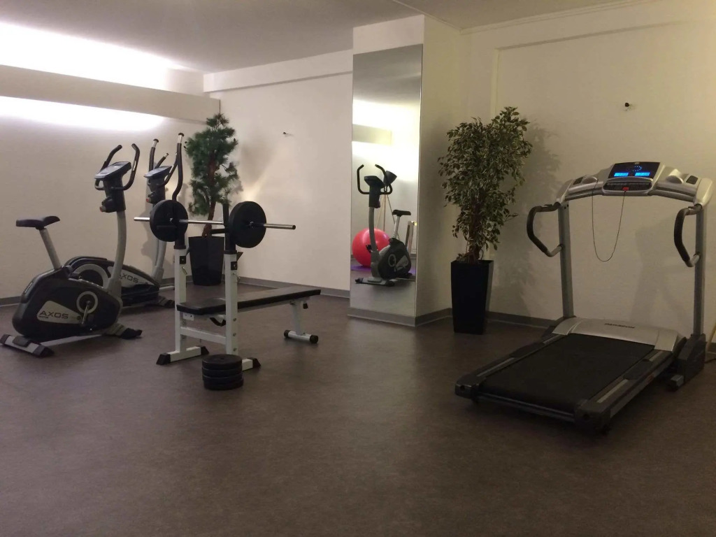Best Western Plus Au cheval Blanc à Mulhouse