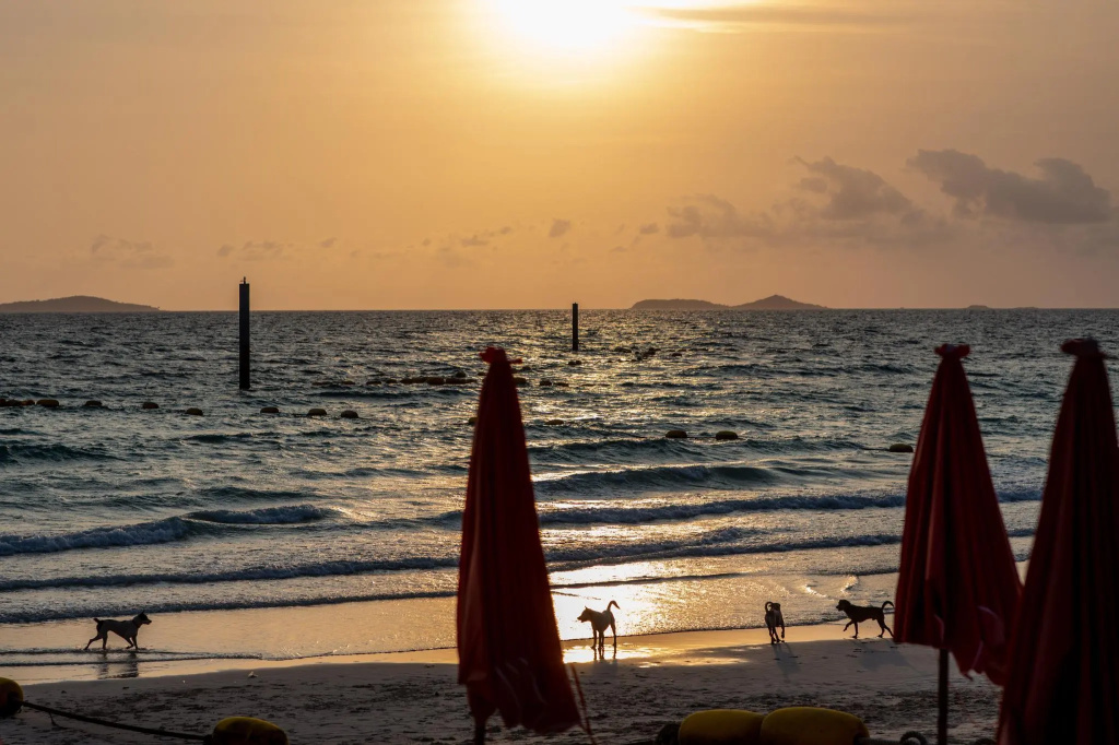 Xanadu Beach Resort